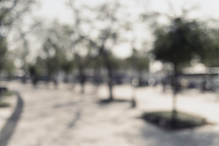 Blurred park natural backgroudの写真素材