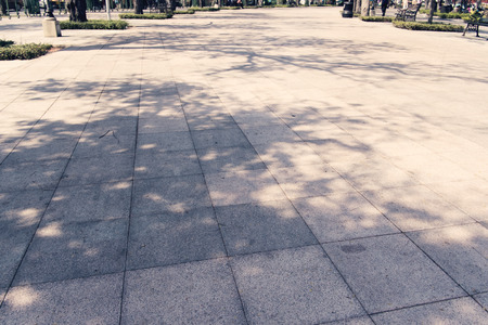 Tree shadow on the white concrete  blackgroundの写真素材