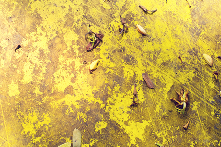 yellow colour texture for backgrounds  imageの写真素材