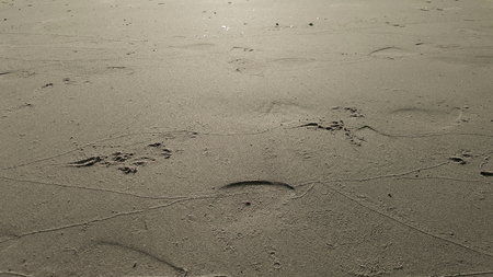 close up of sea beach sand or Desert sand for texture