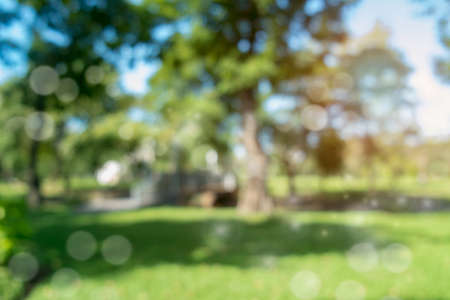 Defocused bokeh background of  garden trees in sunny dayの写真素材