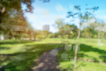 Defocused bokeh background of garden trees in sunny day