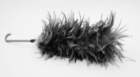 feather broom isolated on white colour backgroundの写真素材