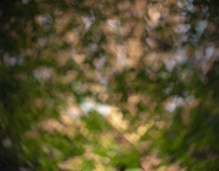 focused bokeh light, abstract points pattern texture background at nightの写真素材