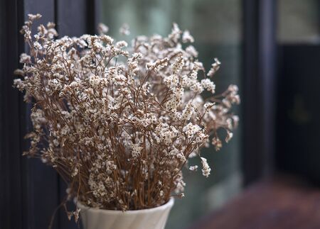  Flowers intside a restaurant, store, office or otherの写真素材