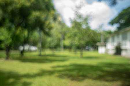 defocused bokeh background of garden trees in sunny dayの写真素材