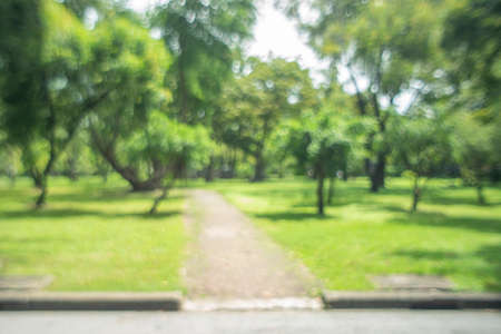 defocused bokeh background of garden trees in sunny dayの写真素材