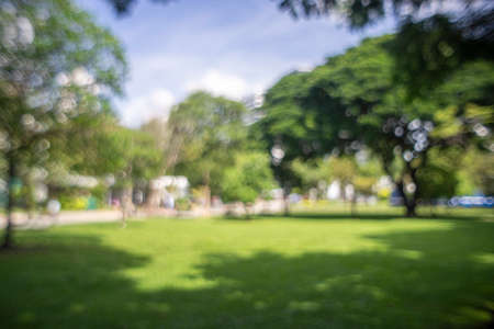 defocused bokeh background of garden trees in sunny dayの写真素材