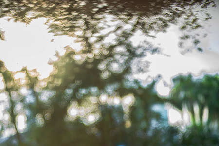 defocused bokeh background of garden treesの写真素材