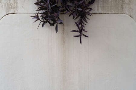 Texture of old gray concrete wall for backgroundの写真素材