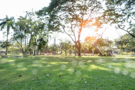 defocused bokeh background of garden trees in sunny dayの写真素材