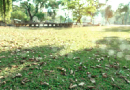defocused bokeh background of garden trees in sunny day