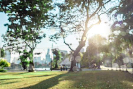 defocused bokeh background of garden trees in sunny day