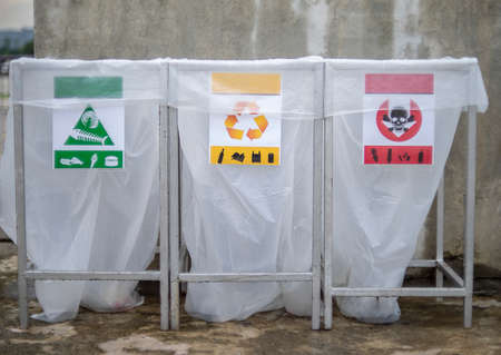 Closeup lotus flower with bee swarmの写真素材