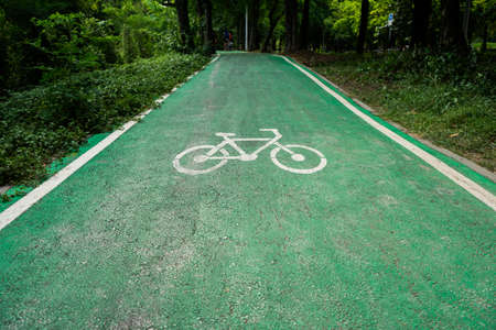 Closeup lotus flower with bee swarmの写真素材