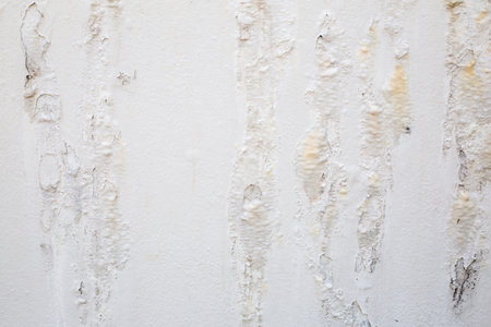 White wall  texture for backgrounds image photoの写真素材