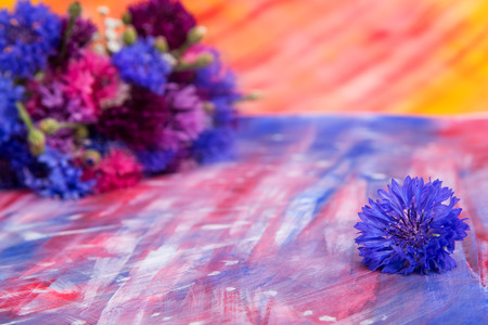 Bright pink-blue cornflowers on a hand-painted acrylic backgroundの写真素材