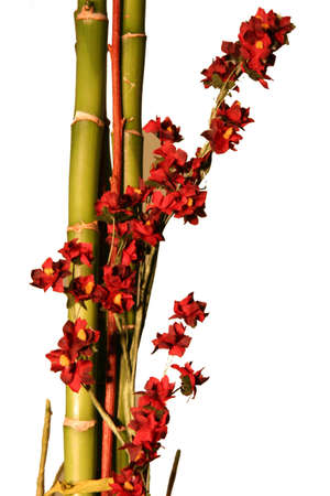 Flowers with Bambooの写真素材