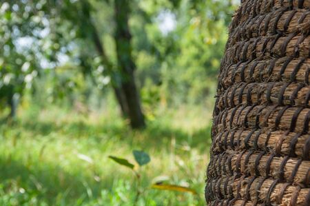Wicker or rattan basket texture. Basket for straw, closeup.の写真素材