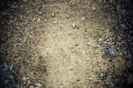 Gravel in mud ,texture backgroundの写真素材