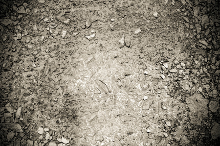 Gravel in mud ,texture backgroundの写真素材