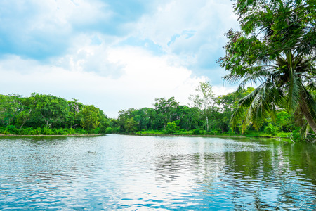 sky and green trees at lake.の写真素材