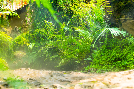 green gsrden,natural landscape background.