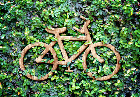 Eco concept :Wood texture Bicycle icon on green leaves wall.の写真素材