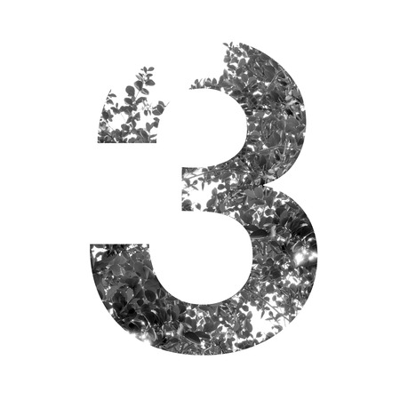 three Number double exposure with black and white leaves isolated on white background,clipping path.の写真素材