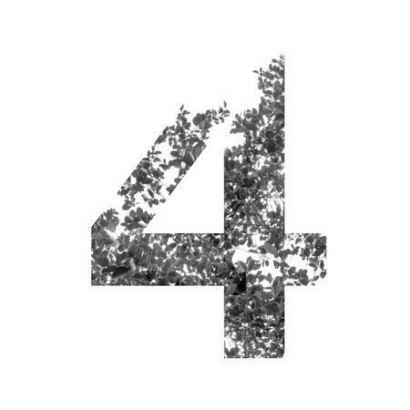 four Number double exposure with black and white leaves isolated on white background,clipping path.の写真素材