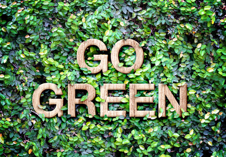 Go green made of wood word on leaves wall,Eco concept.の写真素材
