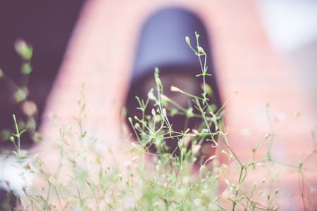 Vintage filter : looking up at plant in pot at brick post.の写真素材