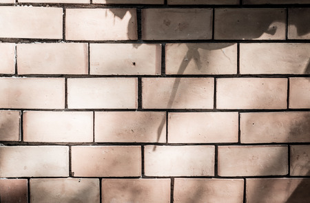 Desaturated brick wall under tree shade.の写真素材