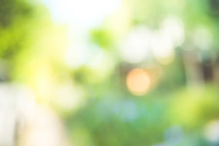 Blur background : Green tree and sky with bokeh light.の写真素材