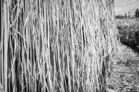 Black and white photo,Hay wall in perspective view.の写真素材