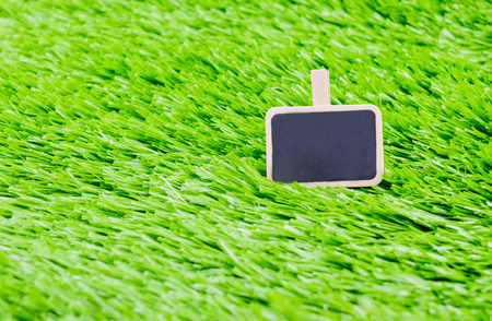 blackboard message clip on green grass, Business and Education concept template.の写真素材