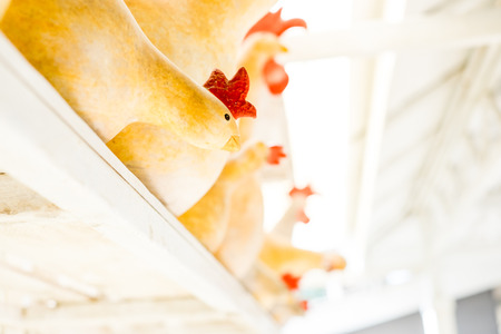 Close up at group of Chicken wood doll in perspective view at shelf.の写真素材