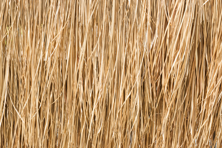 Close up yellow straw wall texture backgrond.
