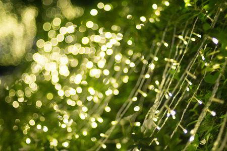 Blurred background of green tree decoration with light bokeh.