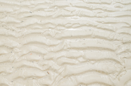 wet sand at beach coastline texture background.wave form