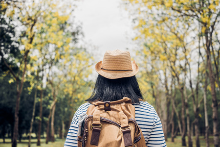 Back of young traveler woman backpacker looking forward at forest in autumn season,Freedom wanderlust travel.solo backpackの写真素材