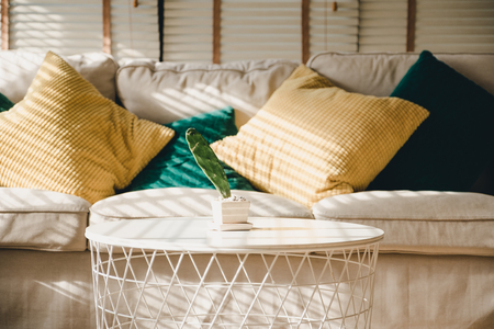 Close up pillow on sofa at home in morning with sunlight.Furniture in house background with light shade on object.の写真素材