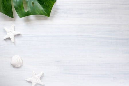 Top view summer monstera leaf and shell and star fish on white wood table with sunlight shadow.summer vacationの写真素材
