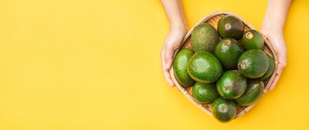 Hand holding organic avocados whole fruit in basket on yellow table background.Healthy super foods for diet.Fresh vegetable from farm.keto food ingredients.banner for advertiseの写真素材