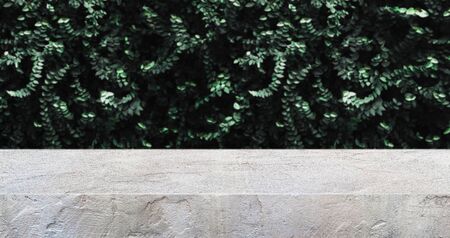 concrete texture table and green leaf wall product display background.3d perspective studio photography stand.banner mokc up space for showcase product.empty countertop.ecology friendly conceptの写真素材