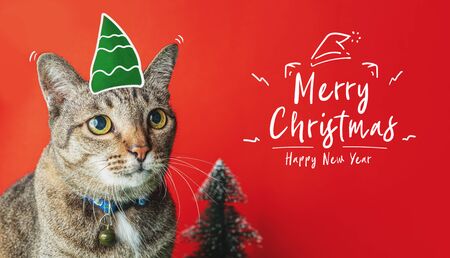 Merry christmas and happy new year doodle with cat nome and christmas tree on red background,holiday greeting cardの写真素材