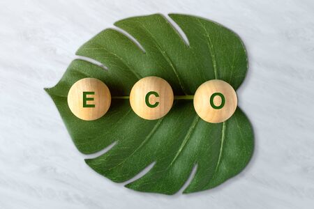 zero waste  and plastic free concept. eco word on wood block with green leaf on marble table, eco friendlyの写真素材