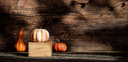 Autumn pumpkins and squash fruit with maple leaf on wooden table with sunlight and leaf shadow on wood wall background. Thanksgiving concept. Banner space for adding design or content.の写真素材