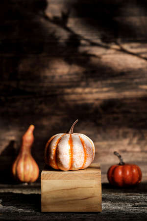 Autumn pumpkins and squash fruit with maple leaf on wooden table with sunlight and leaf shadow on wood wall vertical background. Thanksgiving concept. Banner space for adding design or content.の写真素材