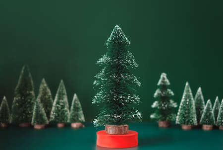christmas tree group and red vivid product display block on green background.の写真素材